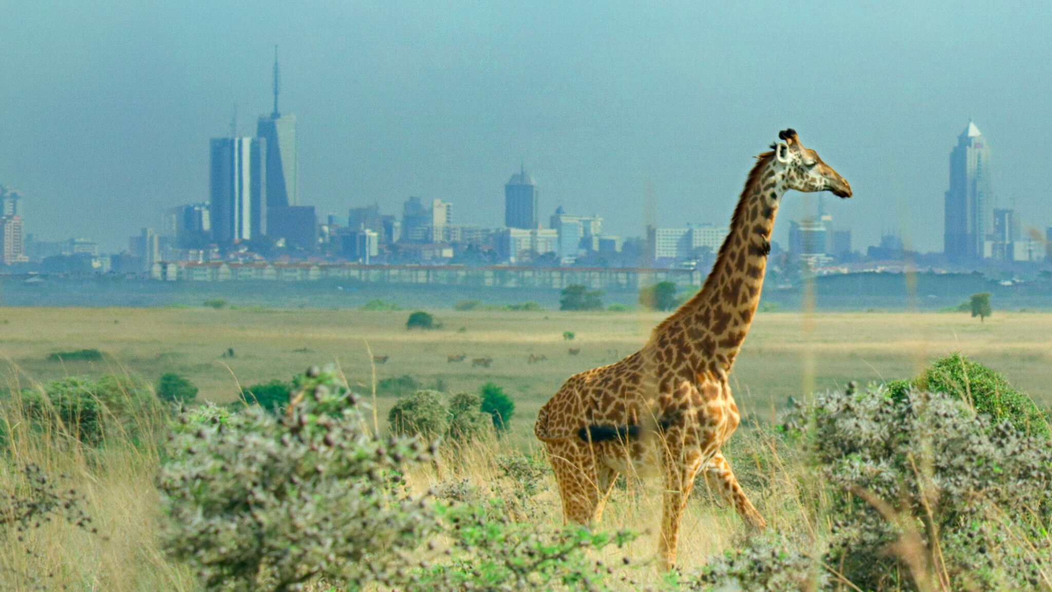 Breaking Boundaries: The Science of Our Planet Background