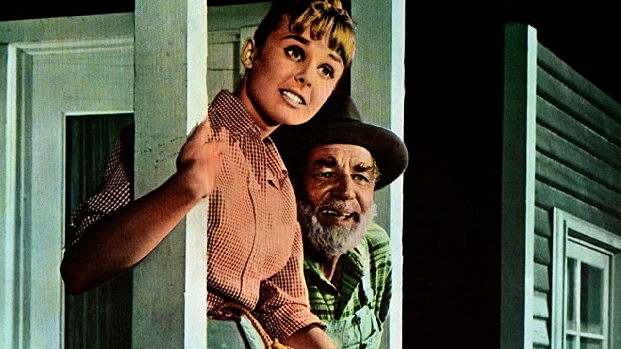 Tammy and the Millionaire Background