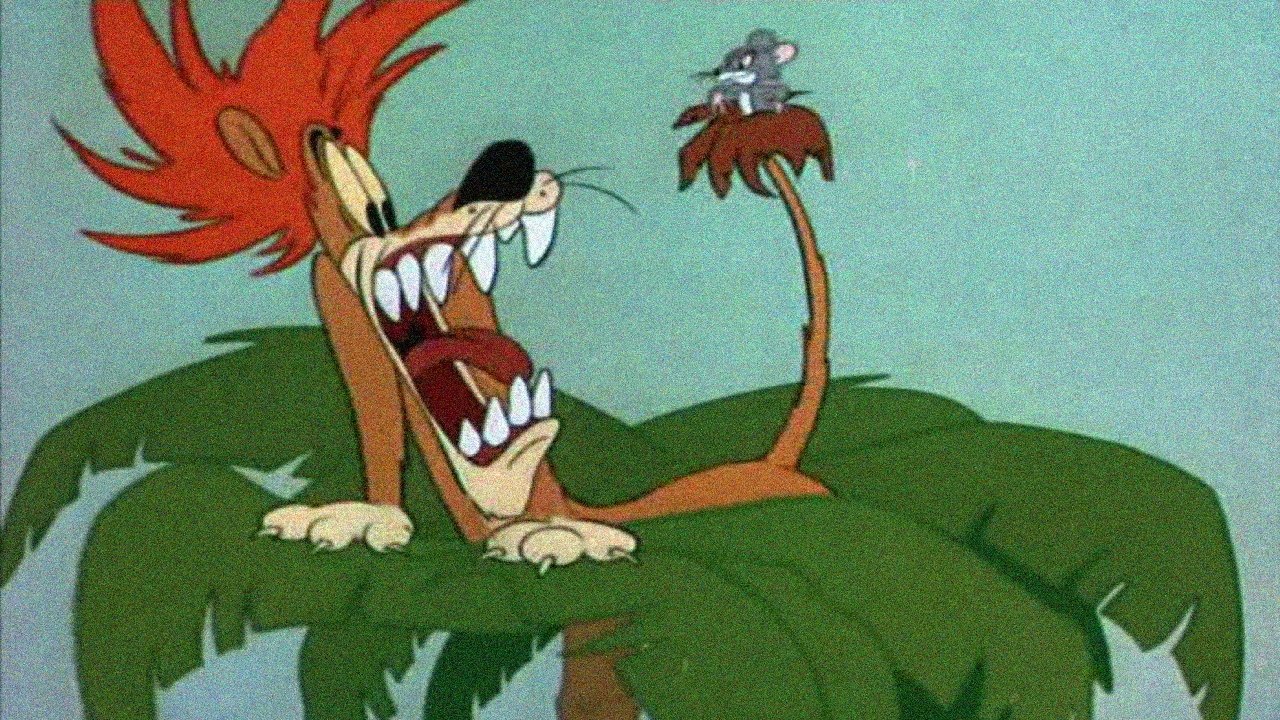 Slap Happy Lion Background