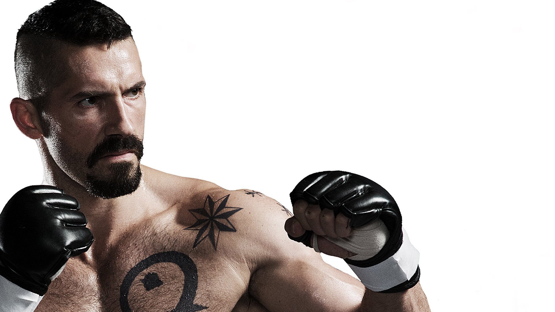 Boyka: Undisputed IV Background
