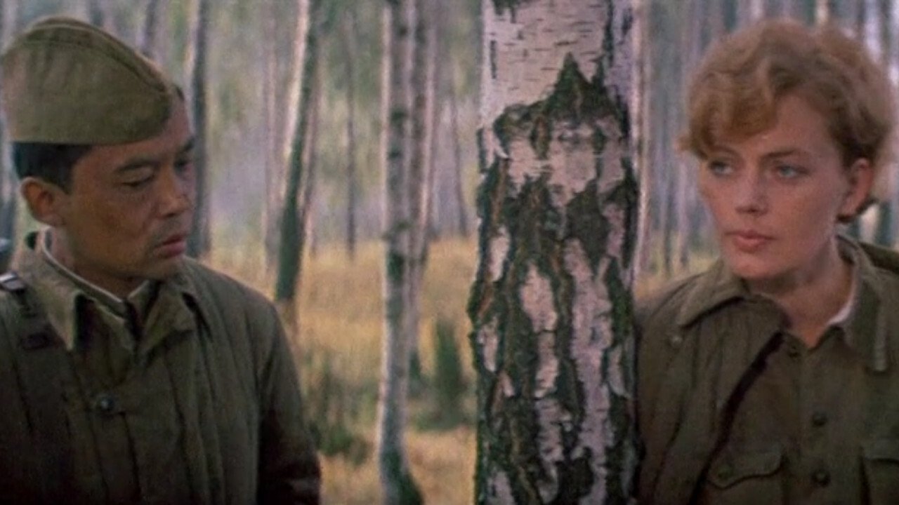 A Secret Walk in the Woods Background