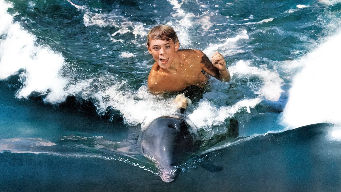 Flipper Background