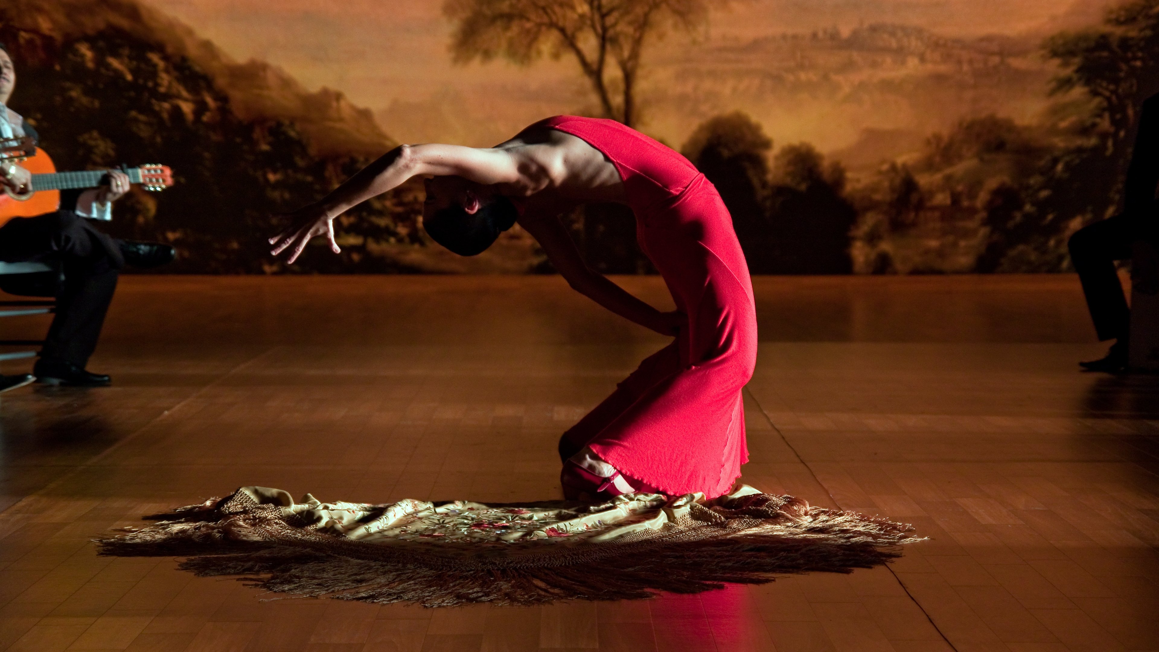 Flamenco Flamenco Background