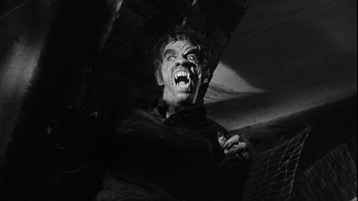 Werewolf in a Girls' Dormitory Background