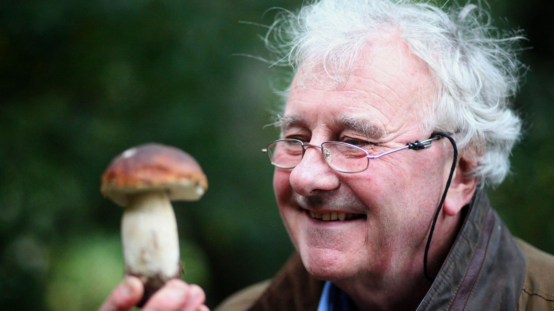 The Magic of Mushrooms Background