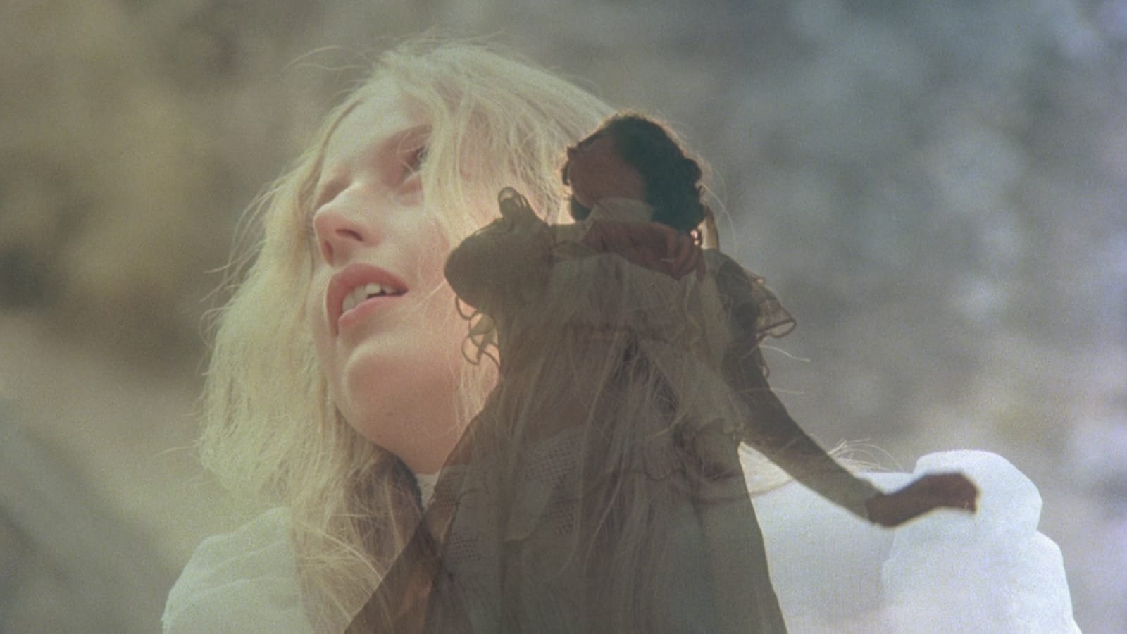 Picnic at Hanging Rock Background