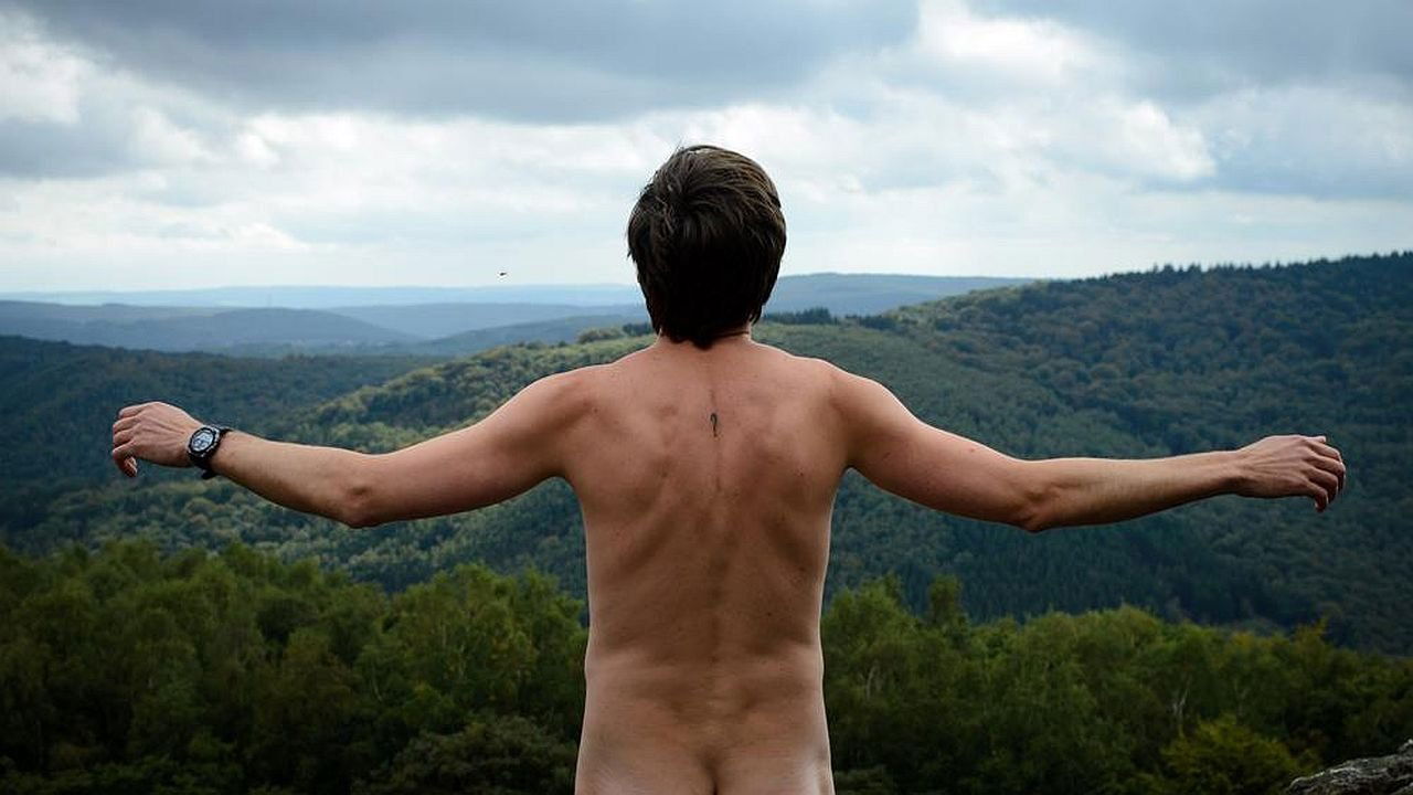 The Black Bear Background