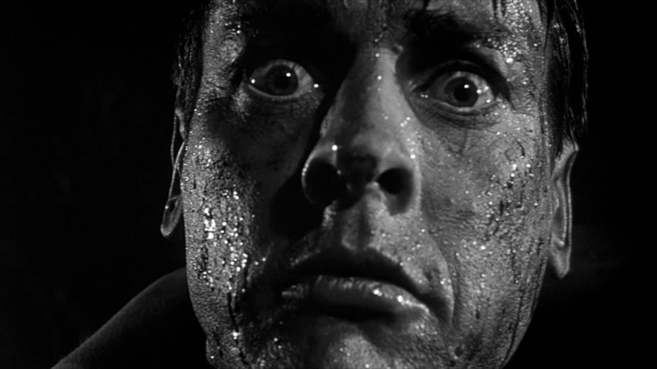 Invasion of the Body Snatchers Background