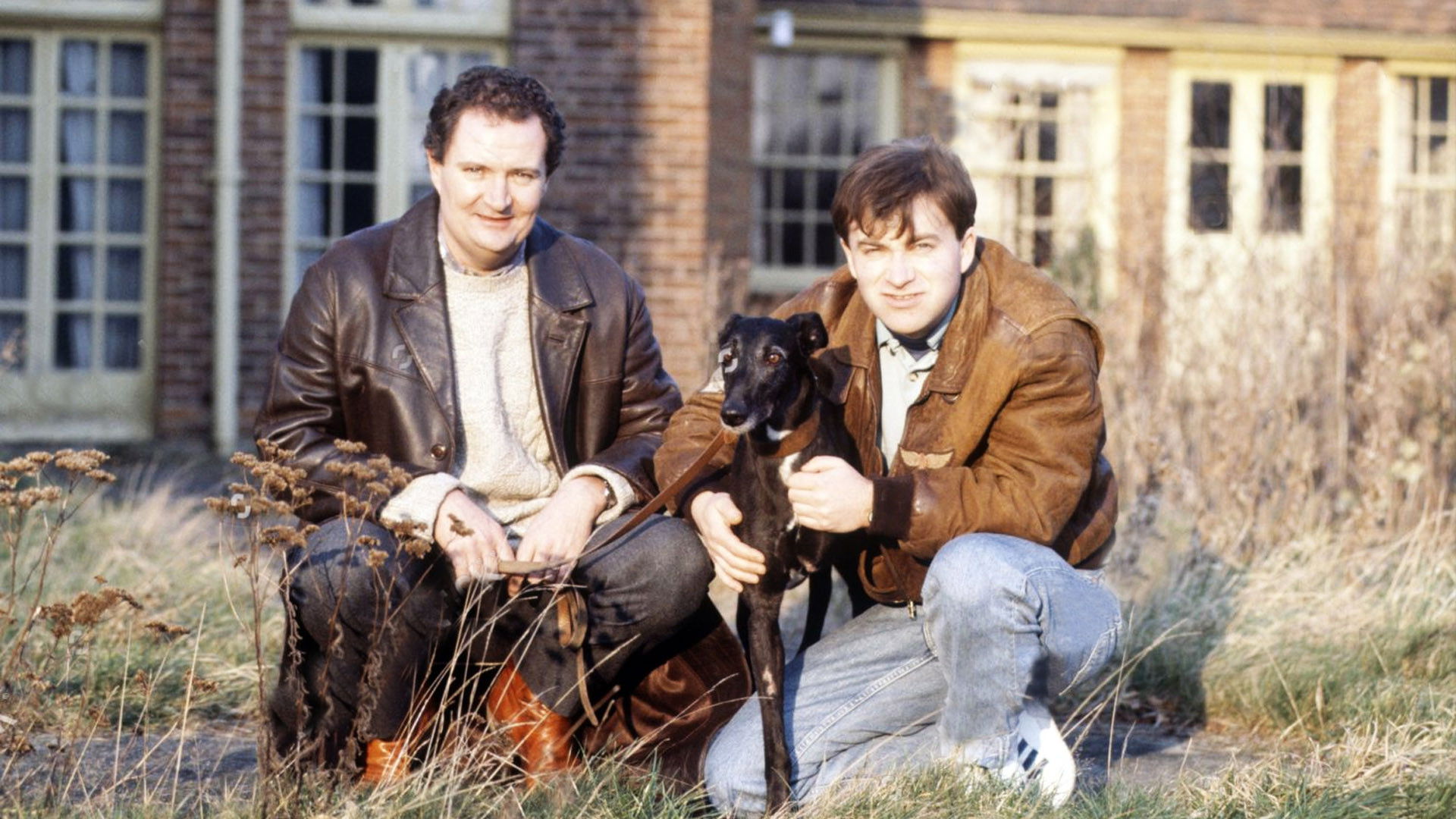 Gone to the Dogs Background