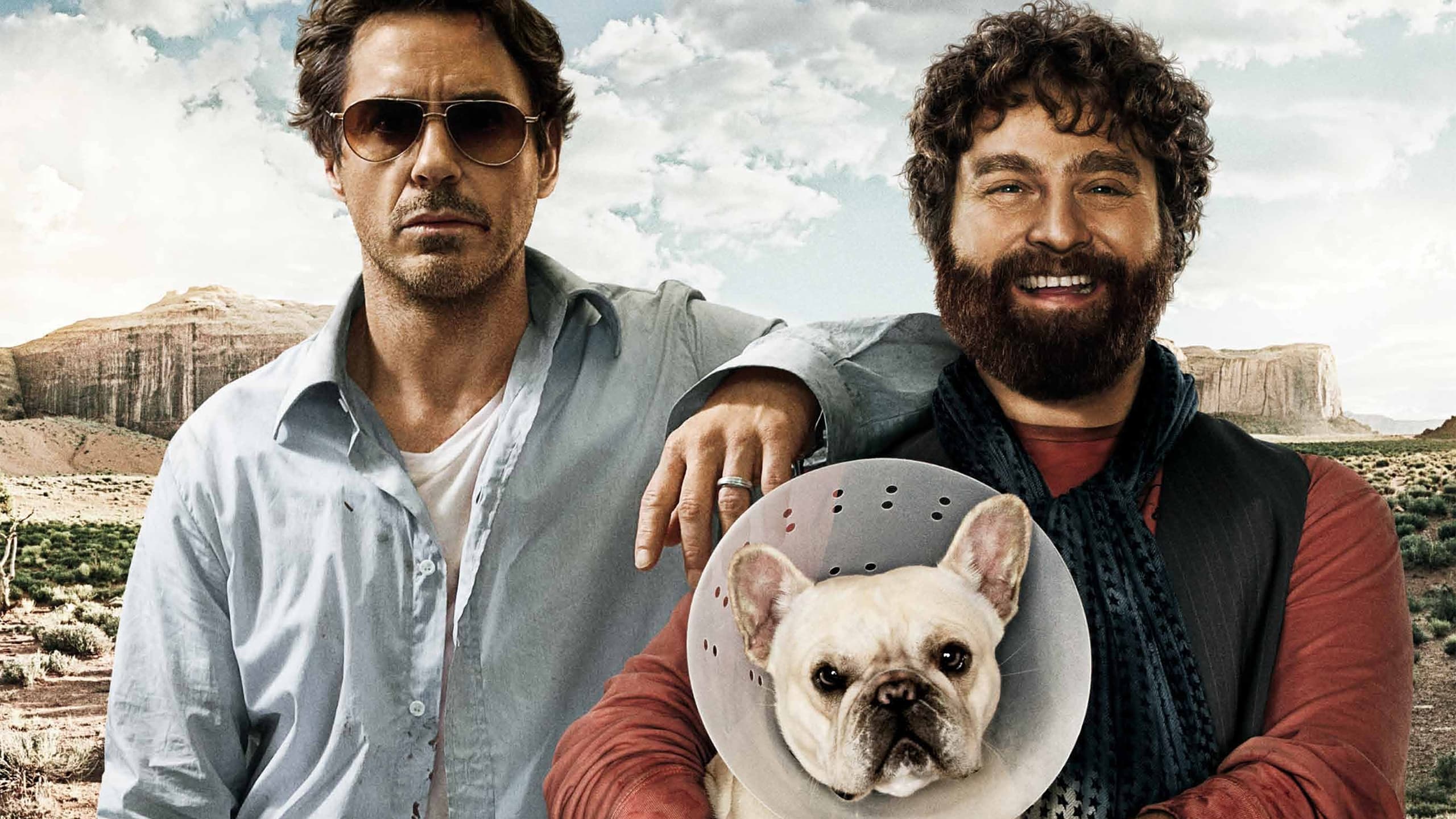 Due Date Background