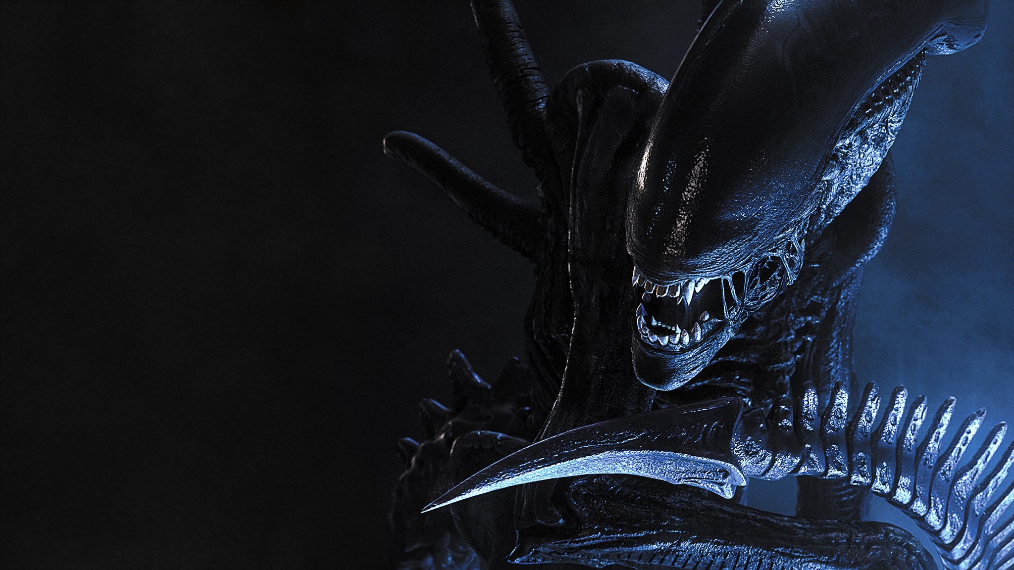 AVP: Alien vs. Predator Background