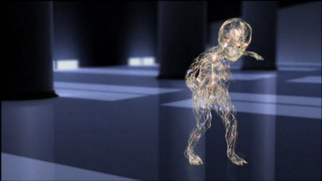 Human Senses Background