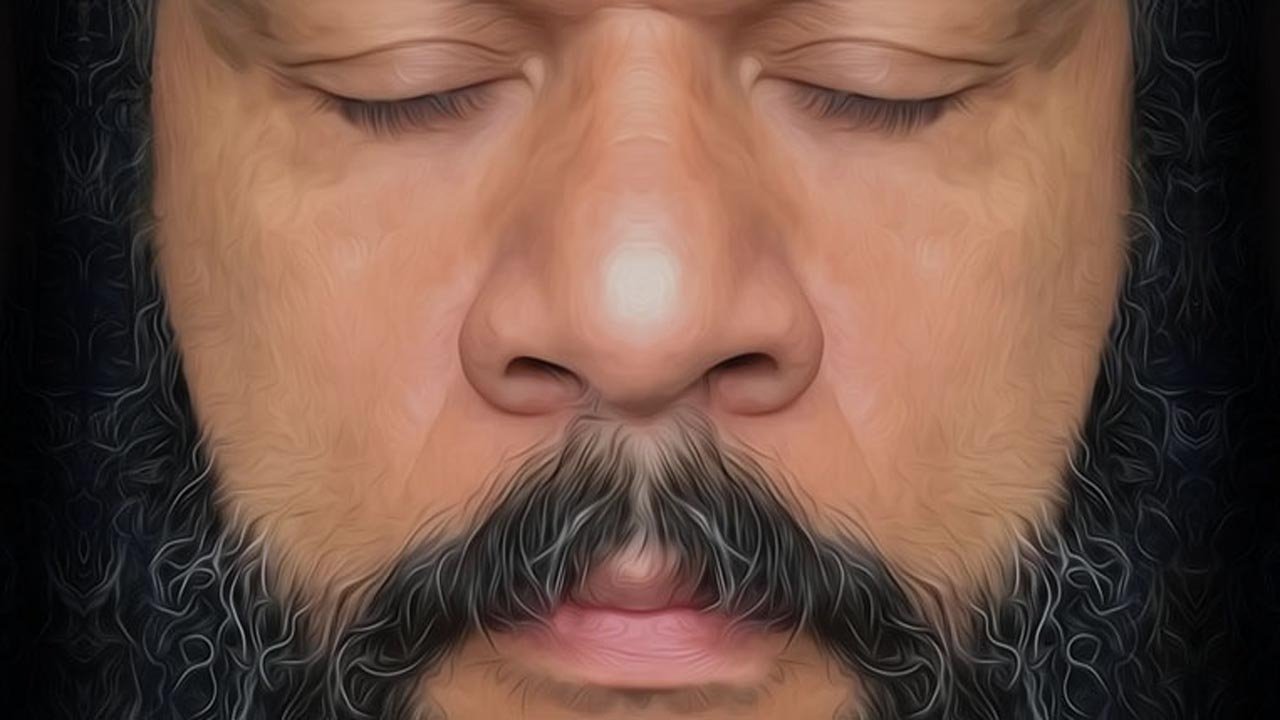 Dieudonné - En vérité Background