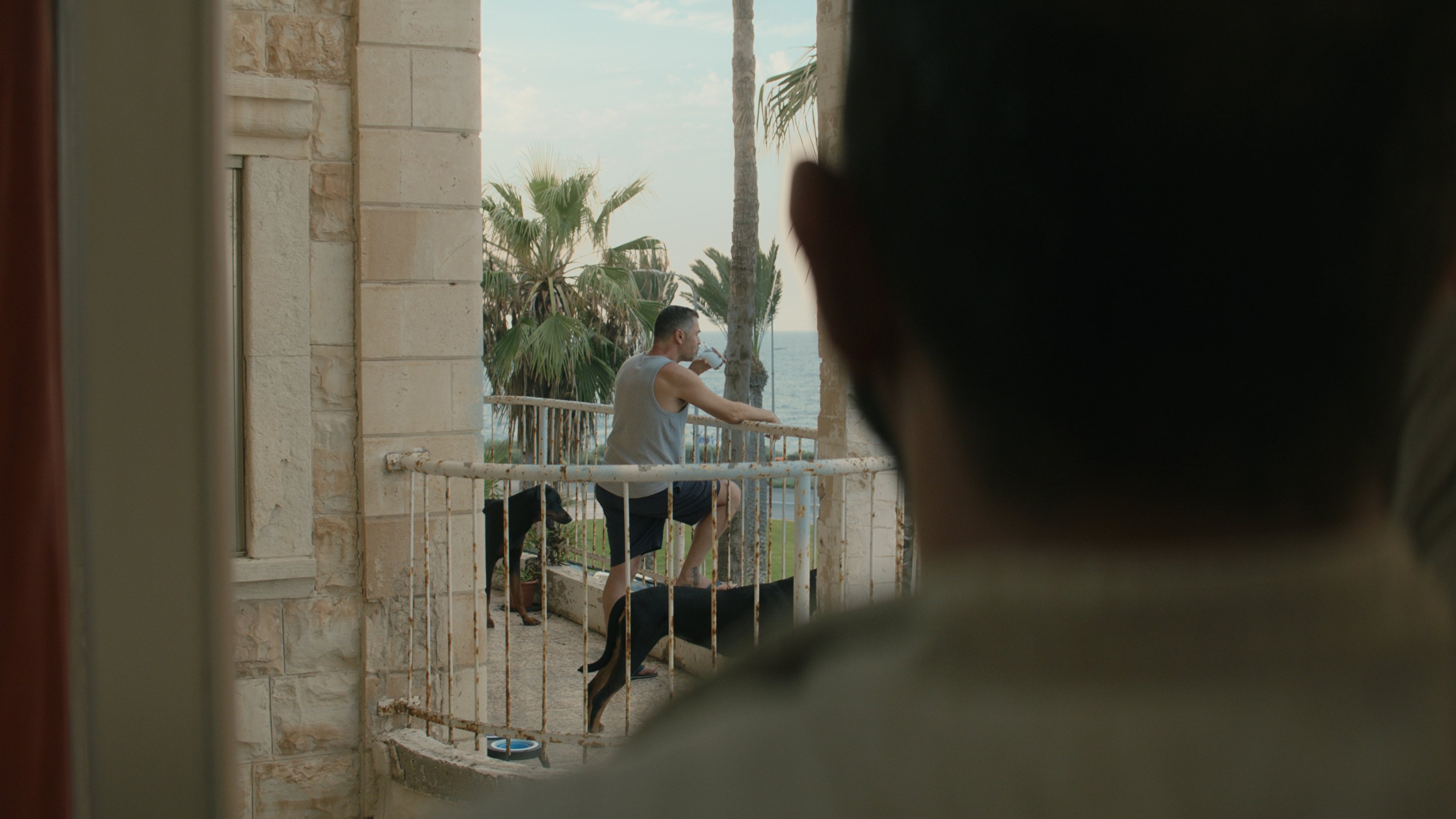 Mediterranean Fever Background