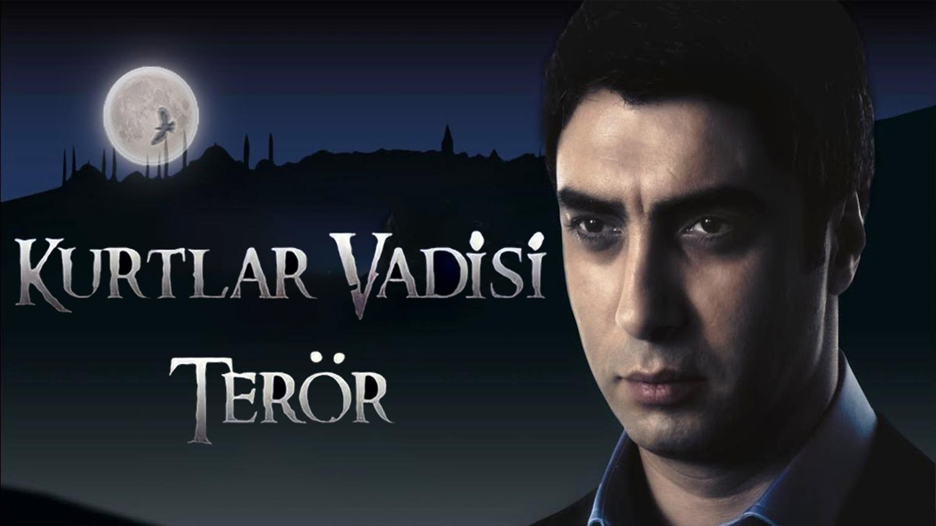 Valley of the Wolves: Terror Background