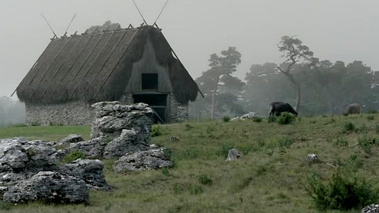Bergman Island Background