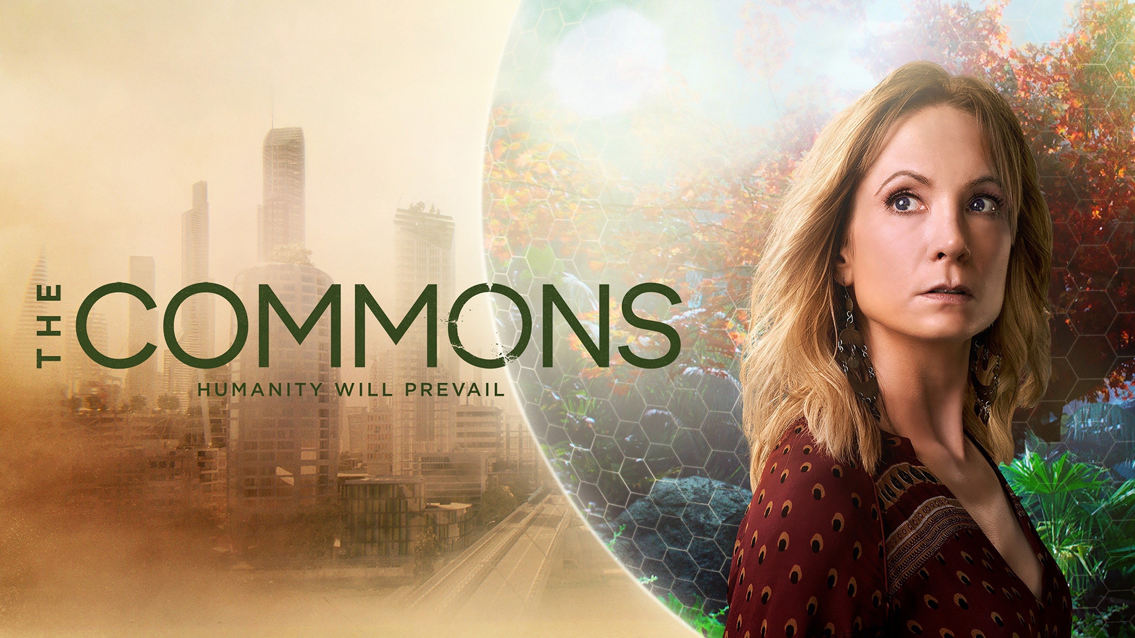 The Commons Background