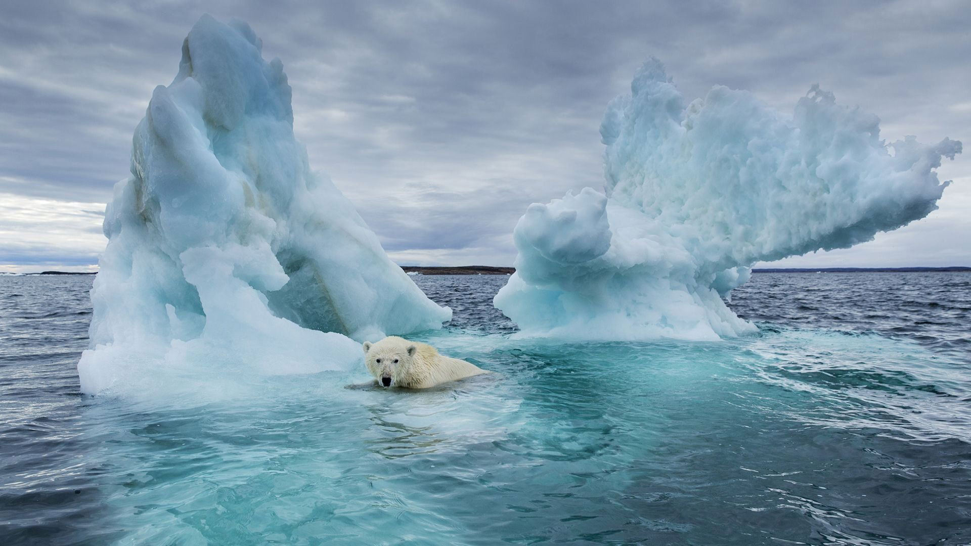 After the Warming Background