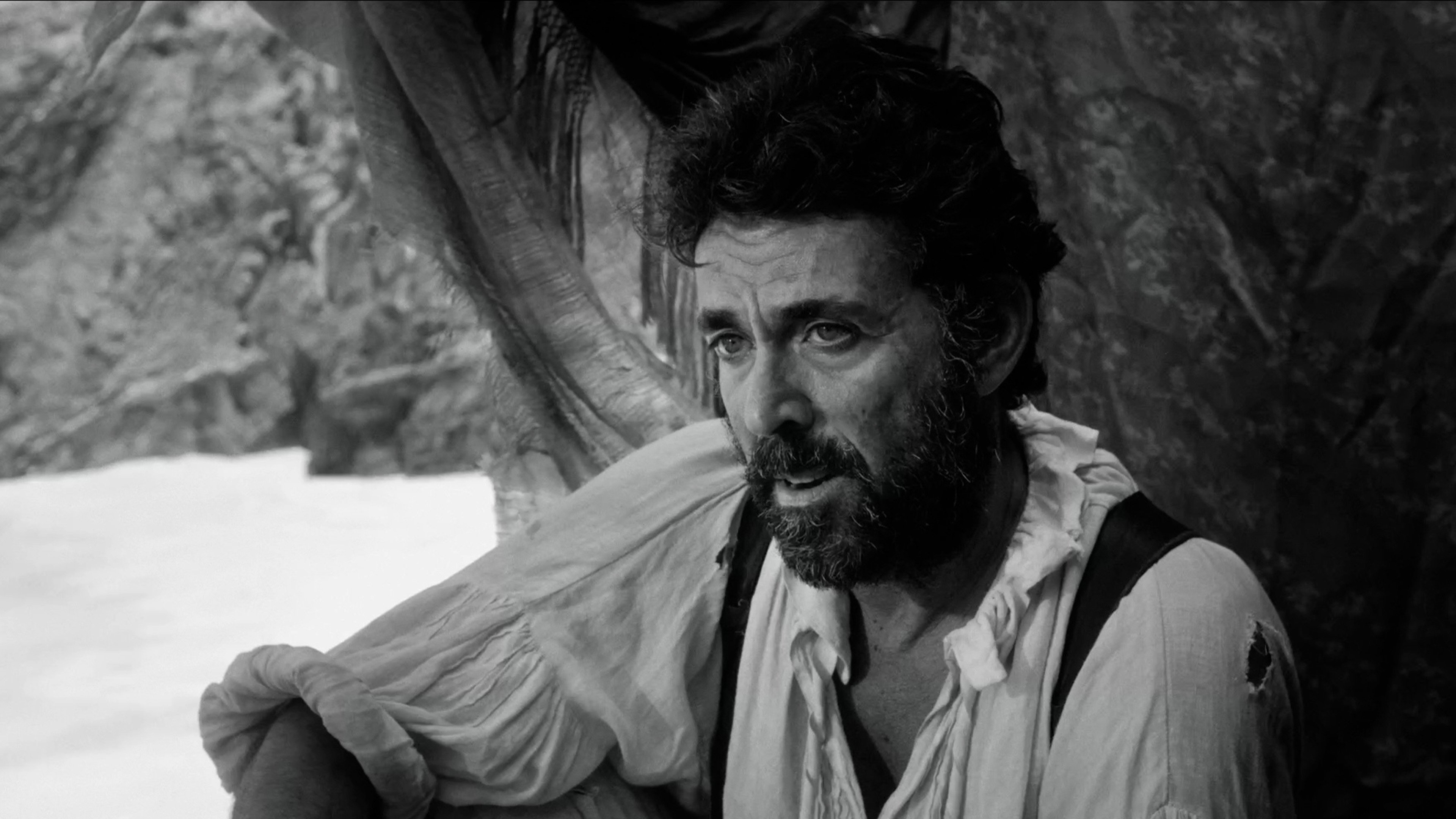 The Survivors Background