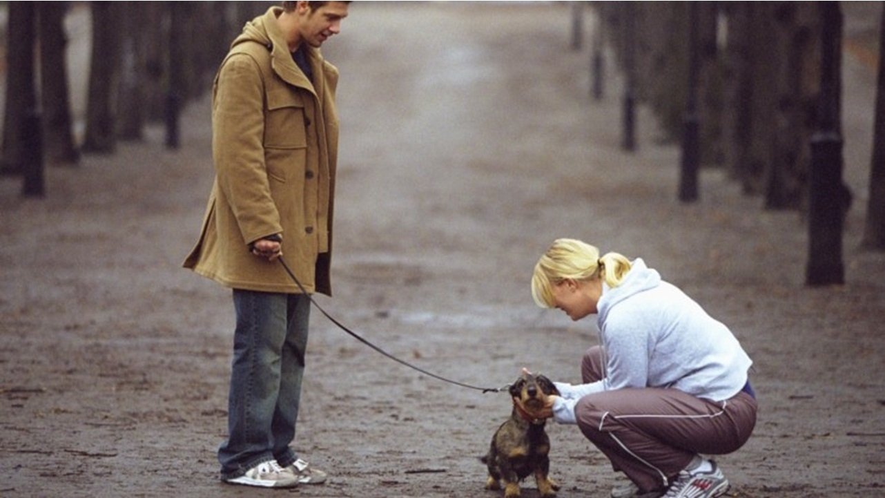 The Dog Trick Background