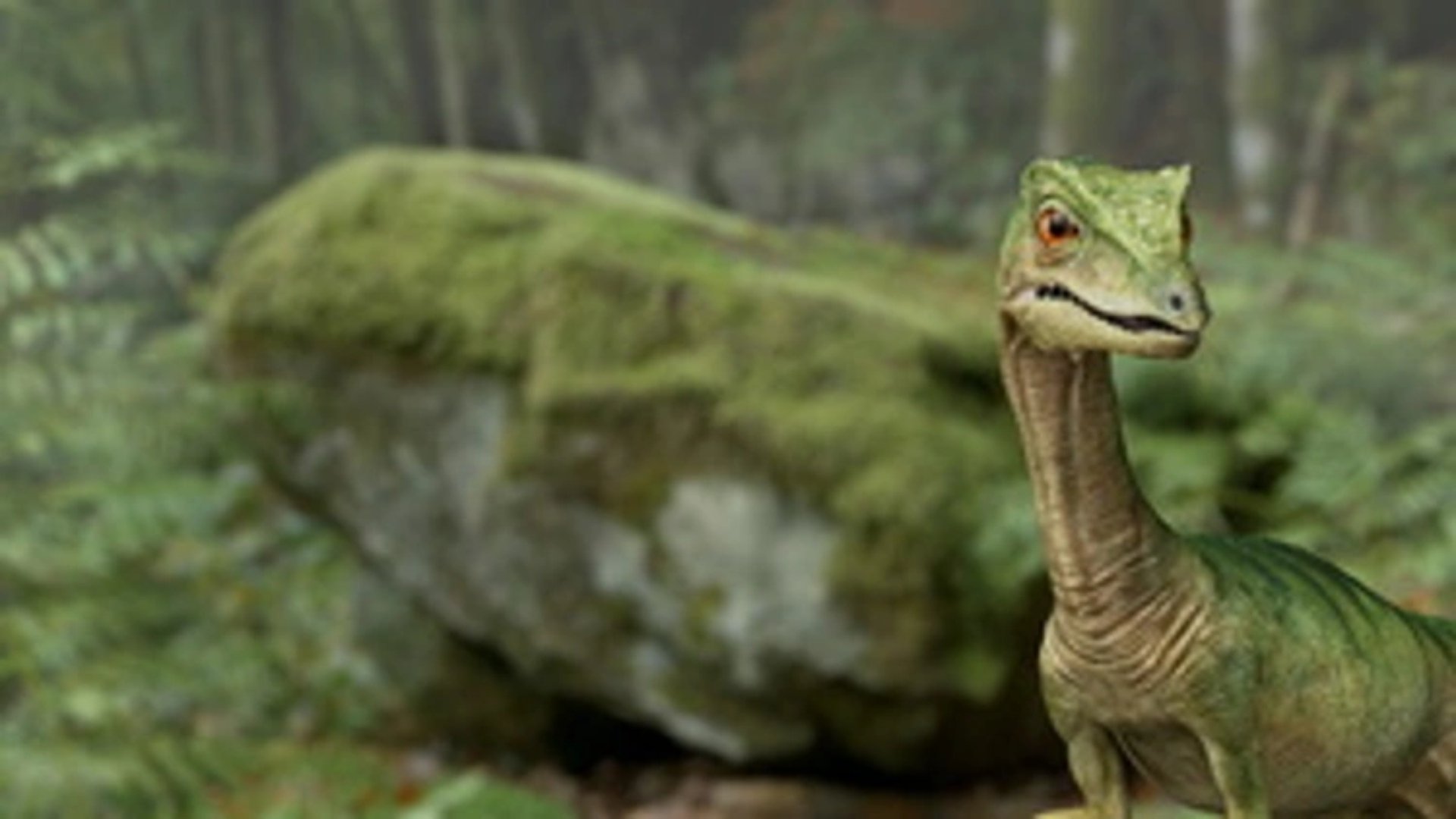 Planet Deutschland - 300 Millionen Jahre Background