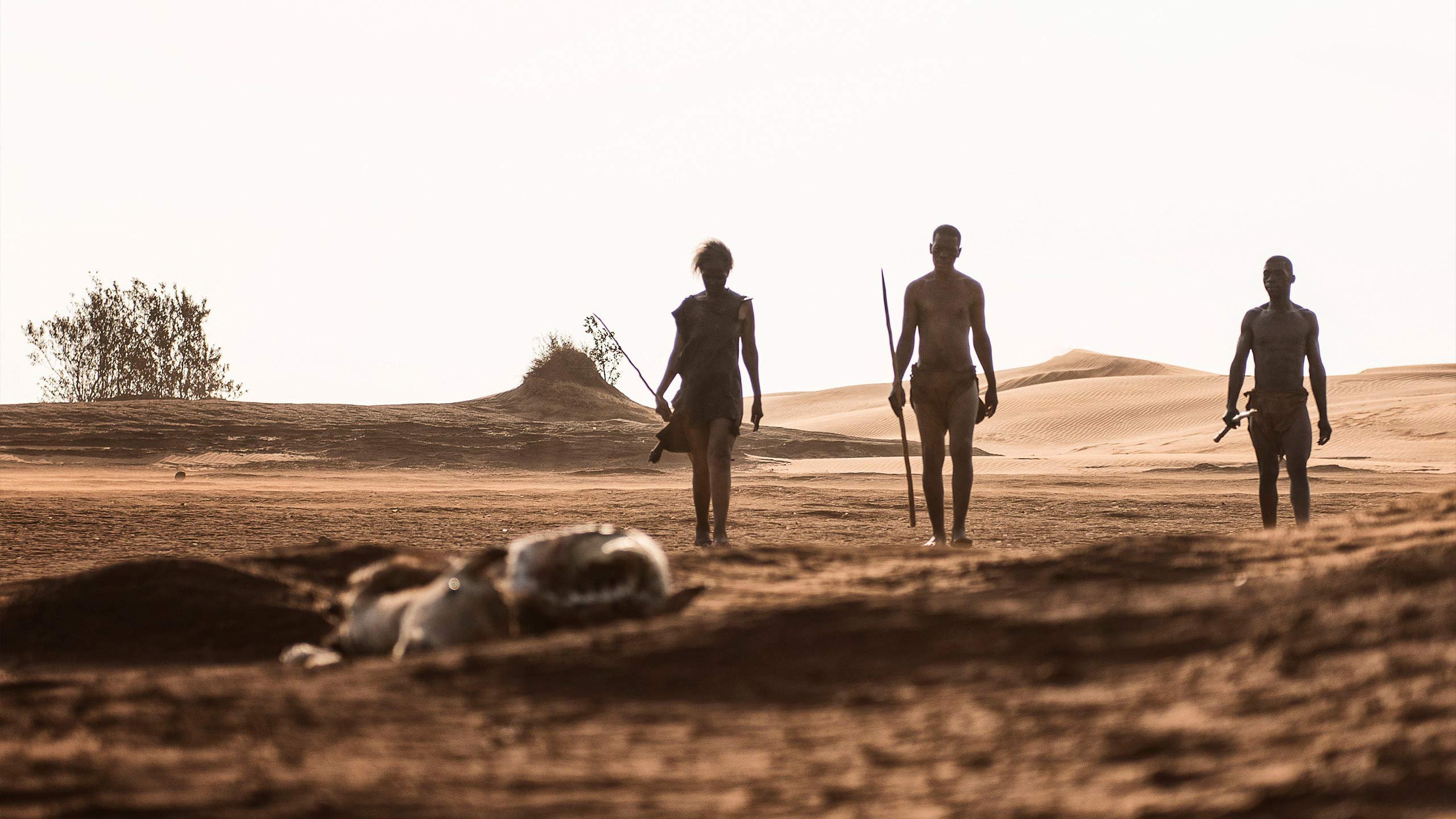 First Peoples Background