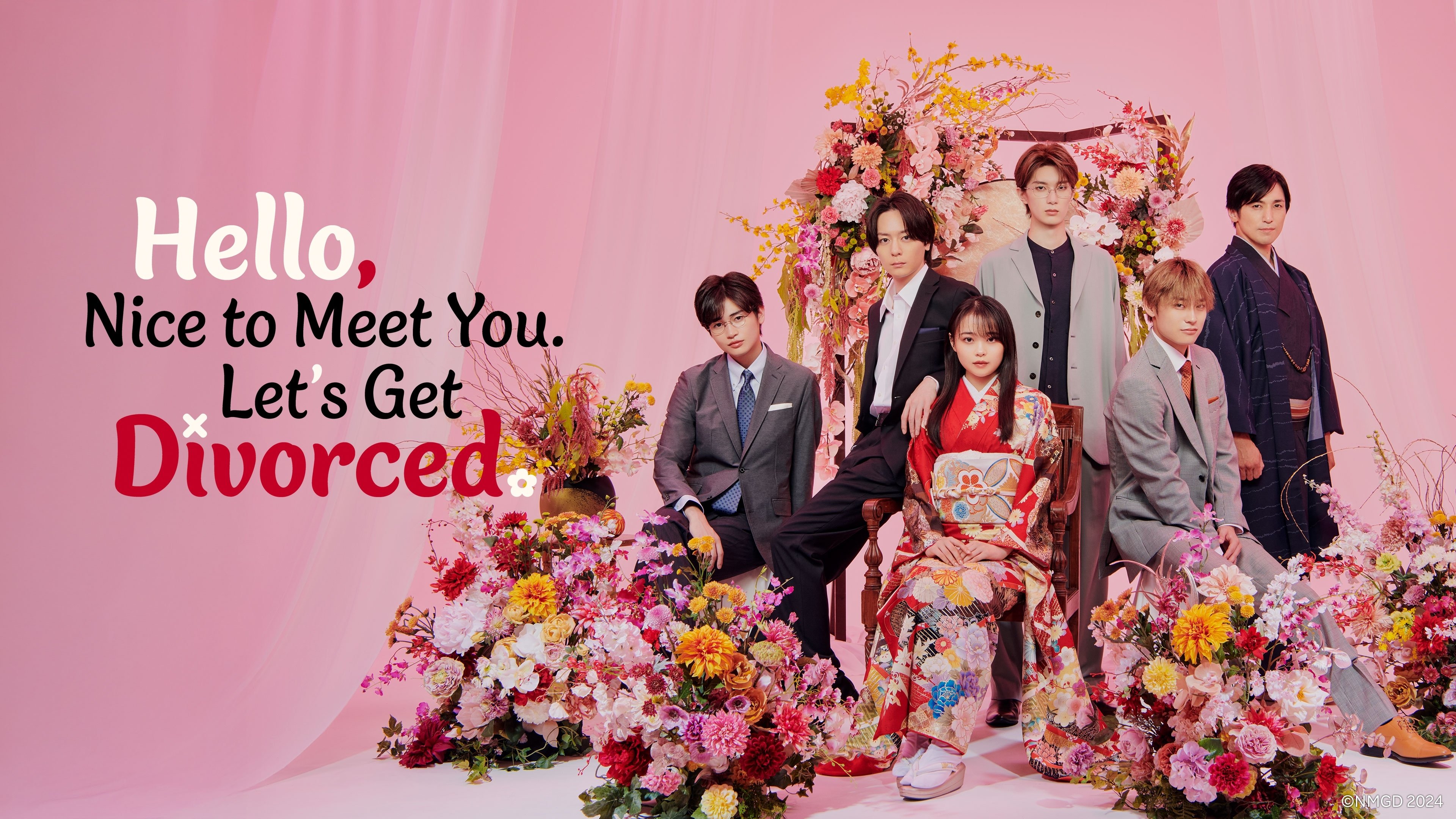 Hello. Nice to Meet You, Let's Divorce Background