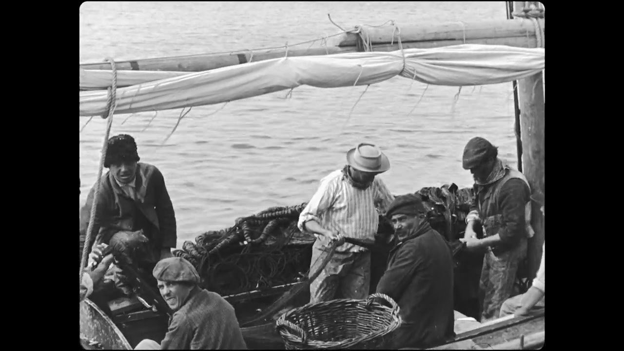 Sardine Fishing Background