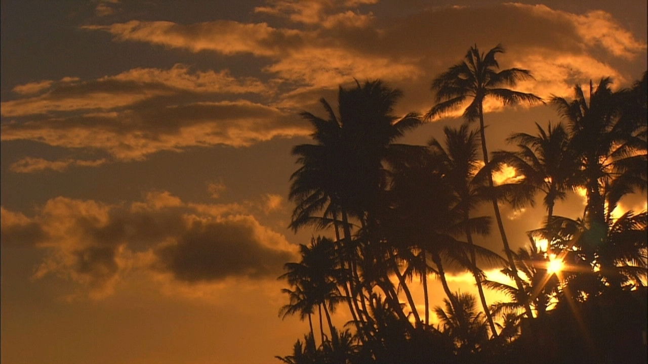 Living Landscapes: World's Most Beautiful Sunrises and Sunsets Background