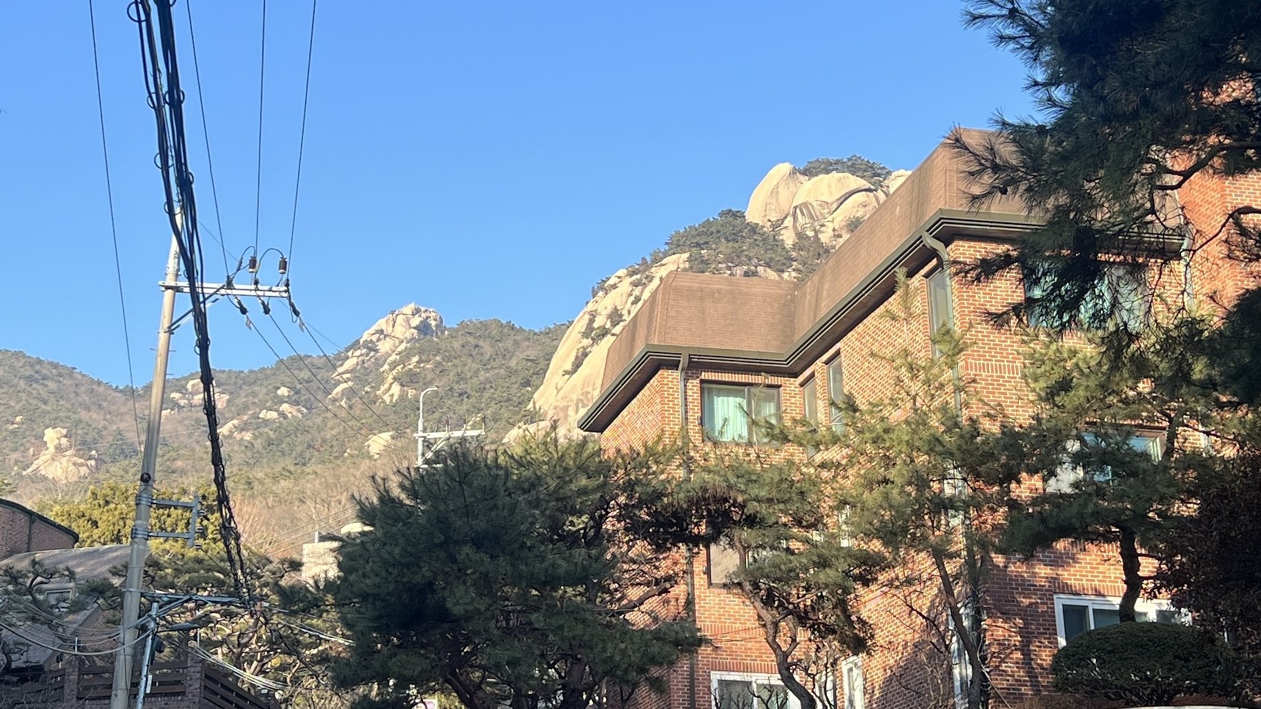 이사 Background