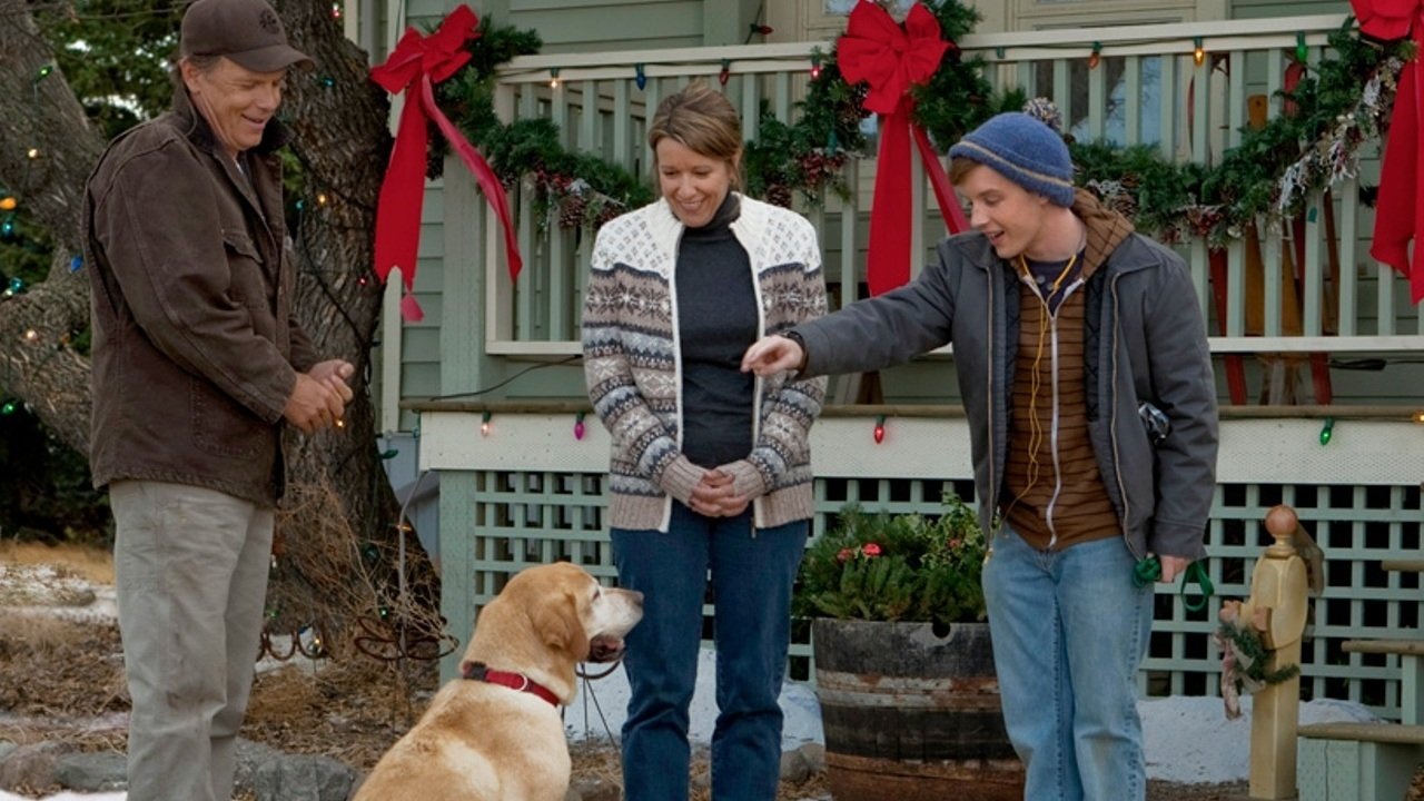 A Dog Named Christmas Background