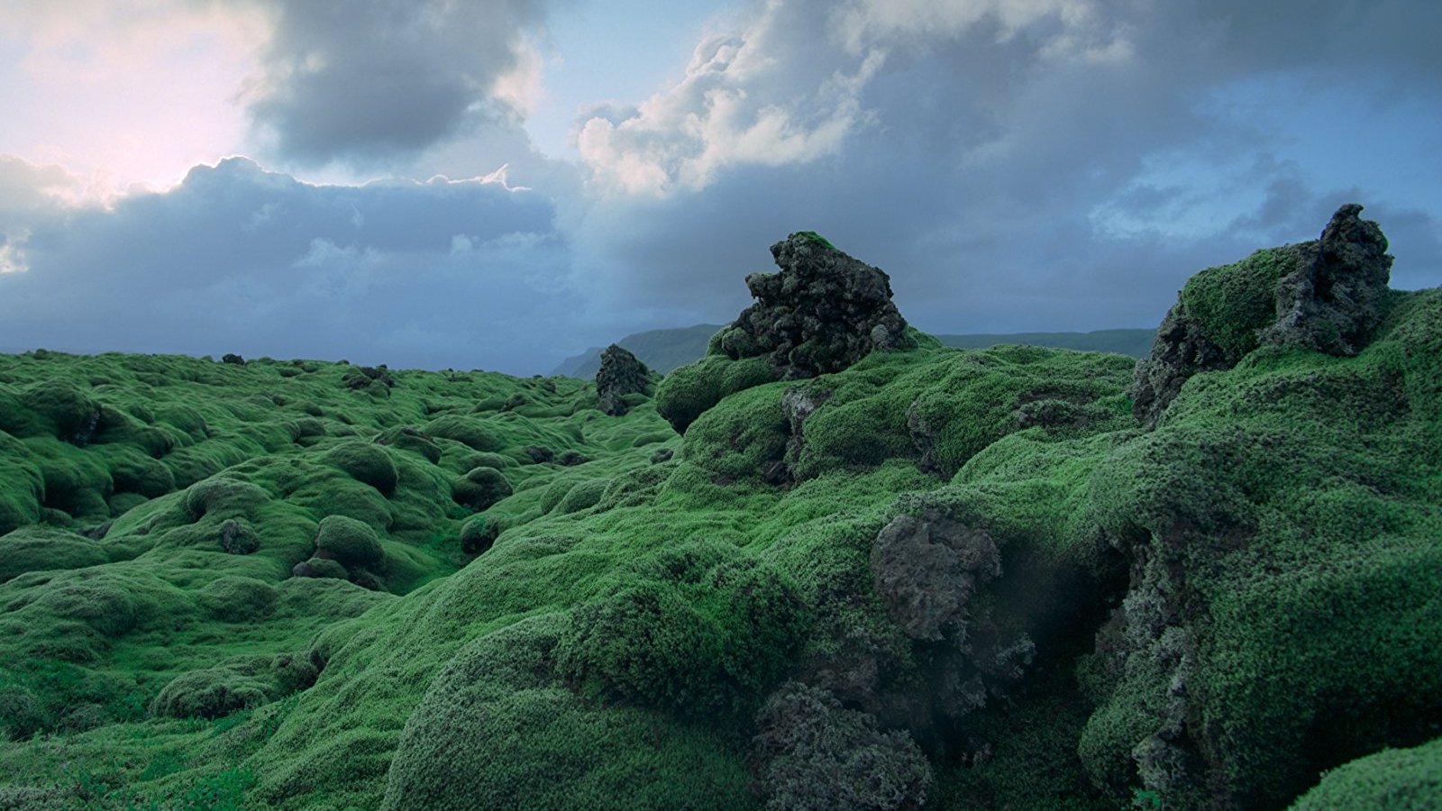 Voyage of Time: The IMAX Experience Background
