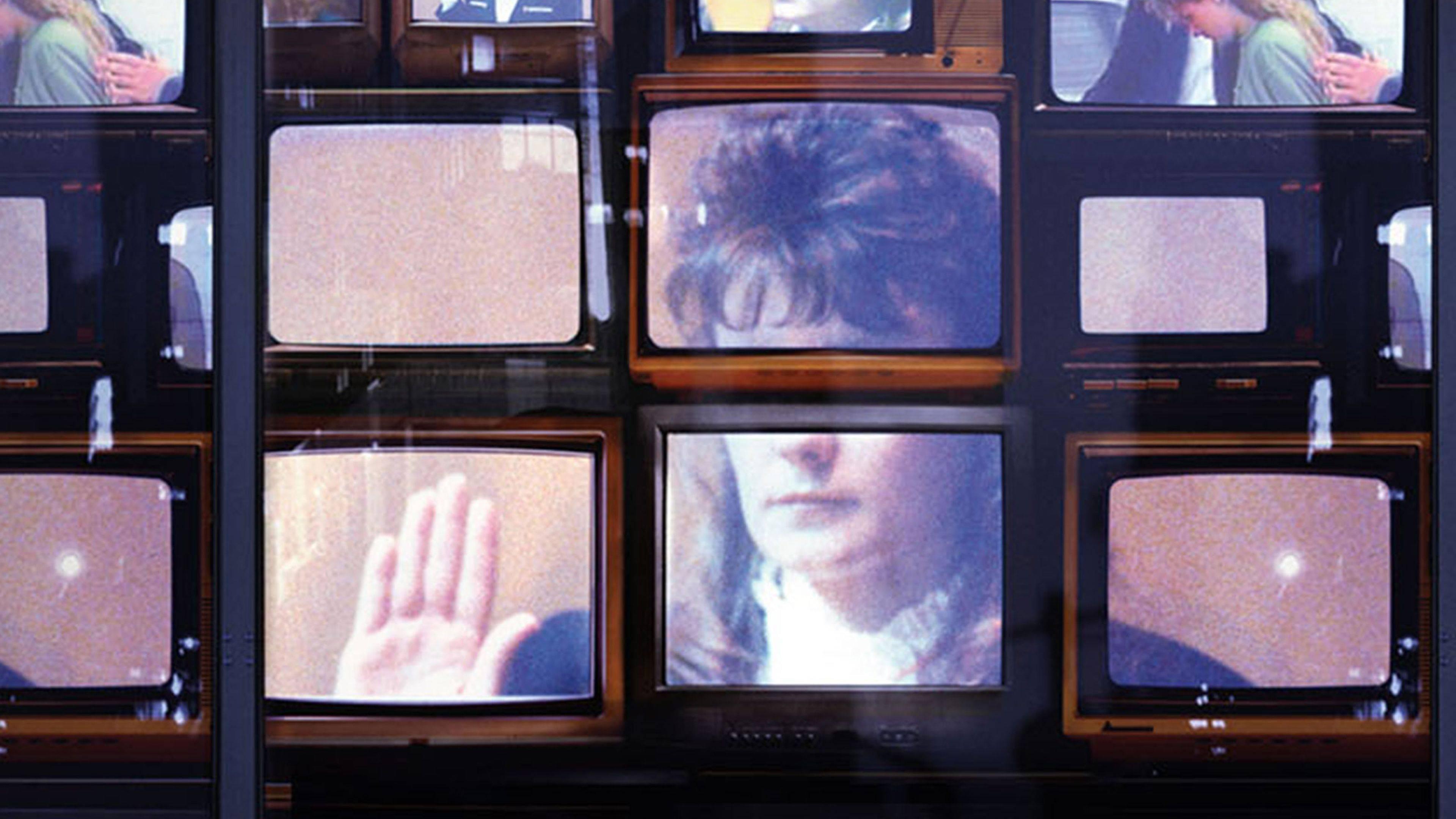 Captivated: The Trials of Pamela Smart Background