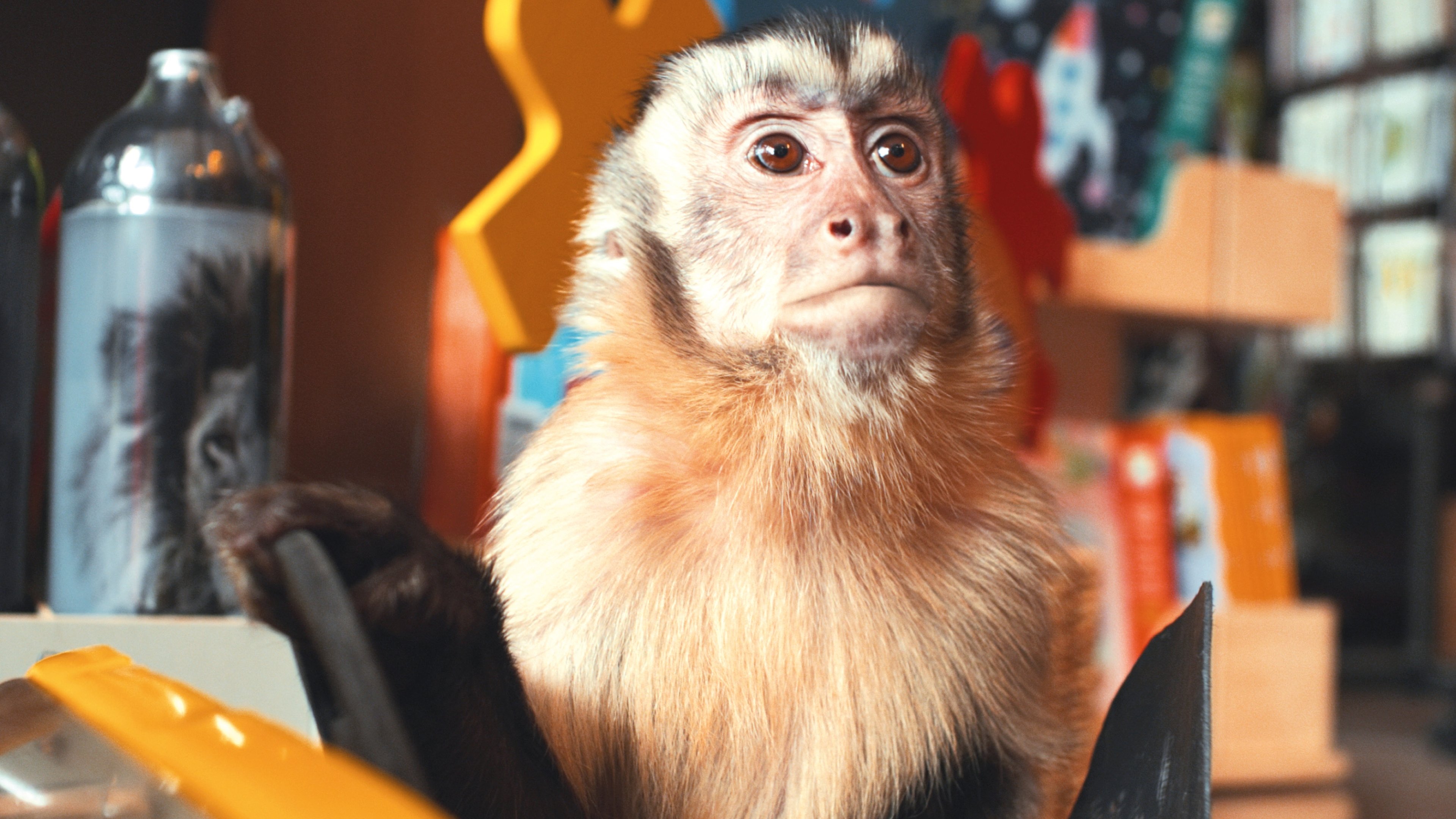 Akiko, the Flying Monkey Background