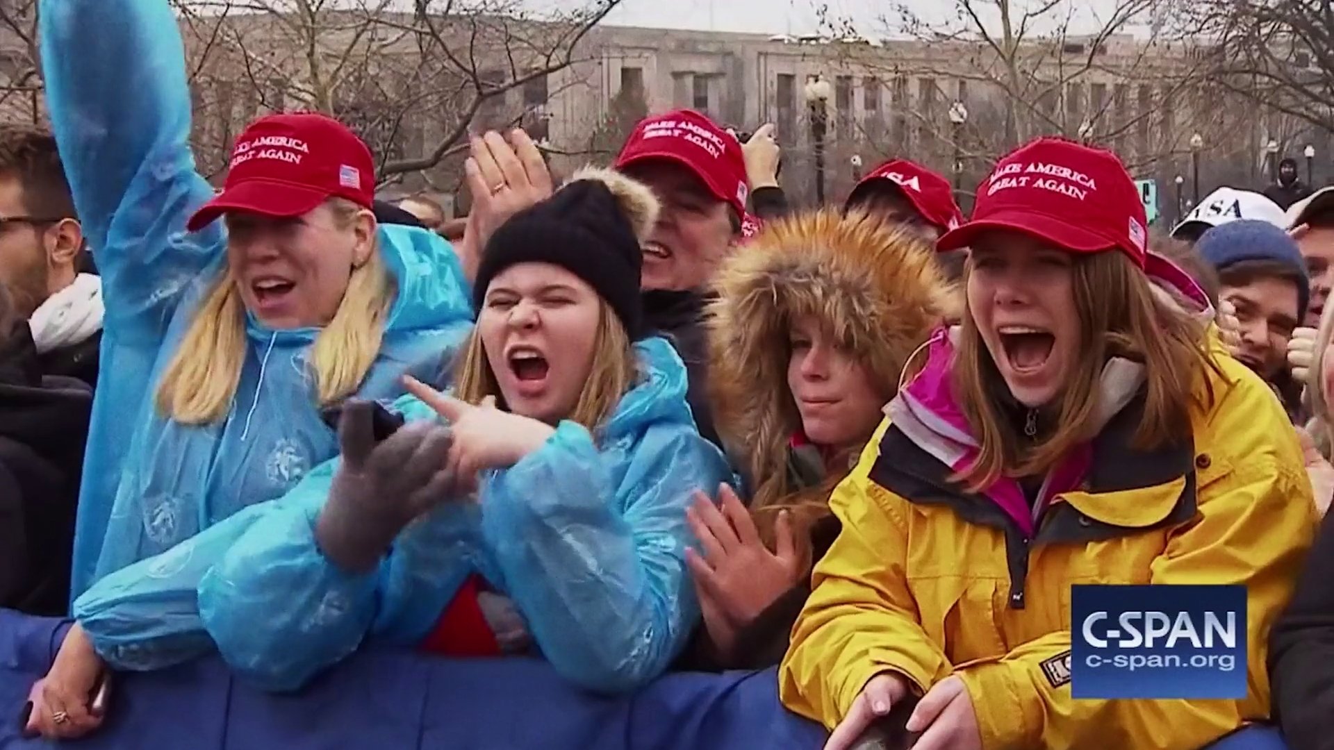 Alt-Right: Age of Rage Background