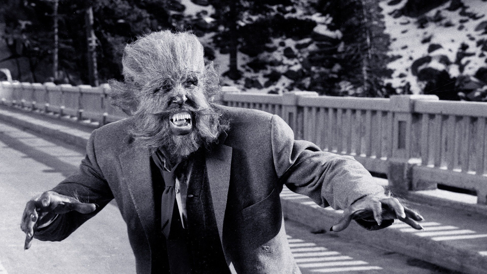 The Werewolf Background