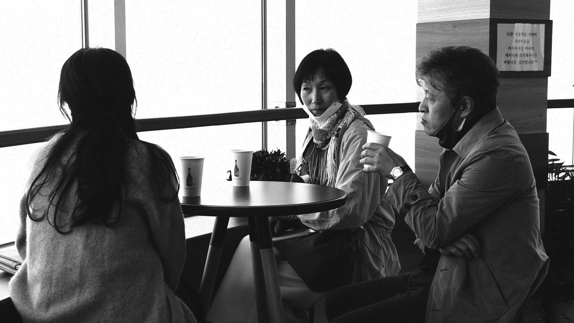 The Novelist’s Film Background
