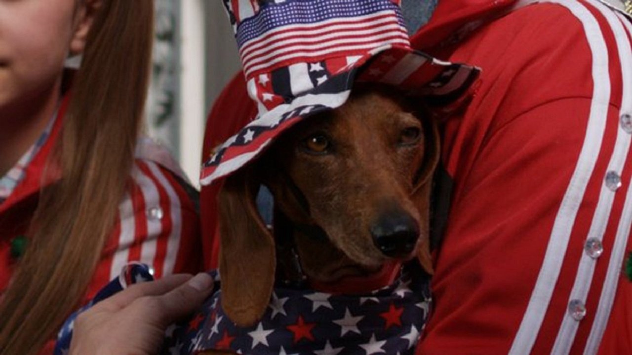 Wiener Dog Internationals Background