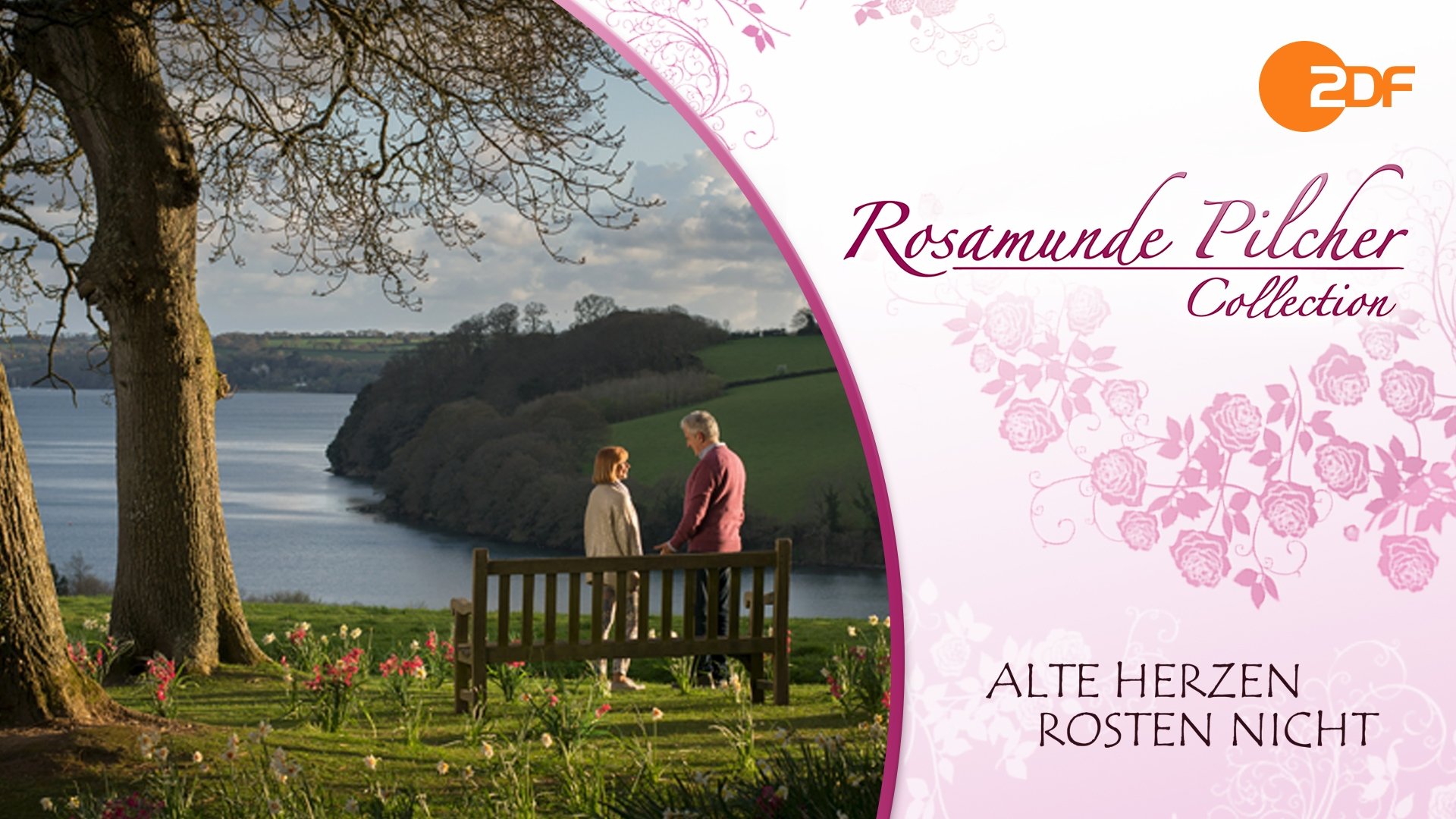 Rosamunde Pilcher: Alte Herzen rosten nicht Background