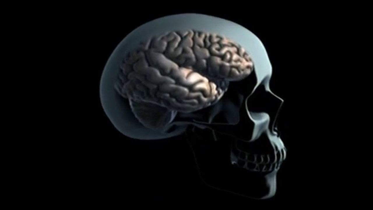 Drugs and Brain Background