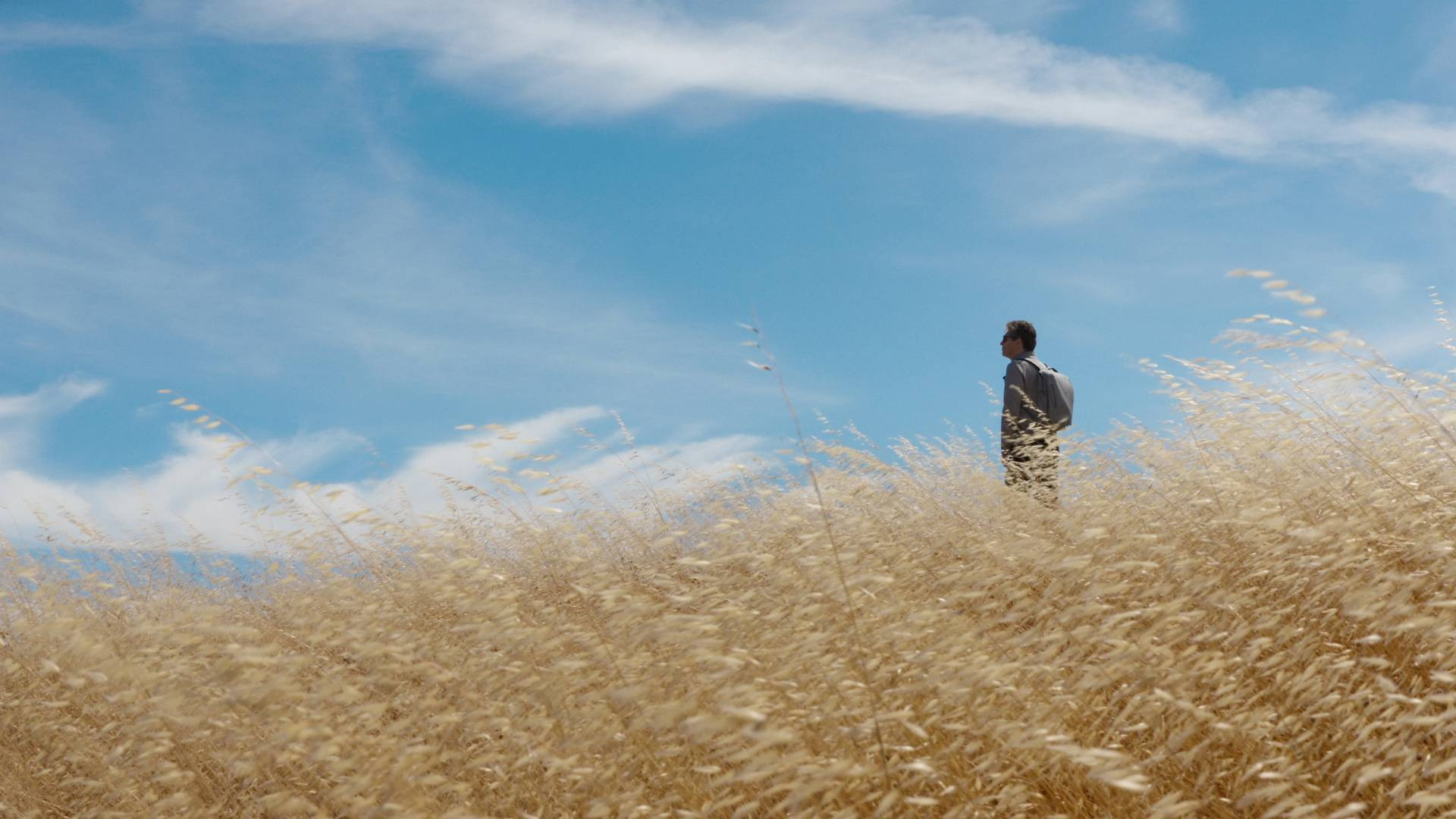 General Magic Background