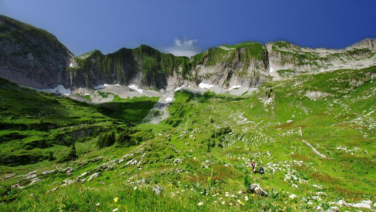 Wild Switzerland Background