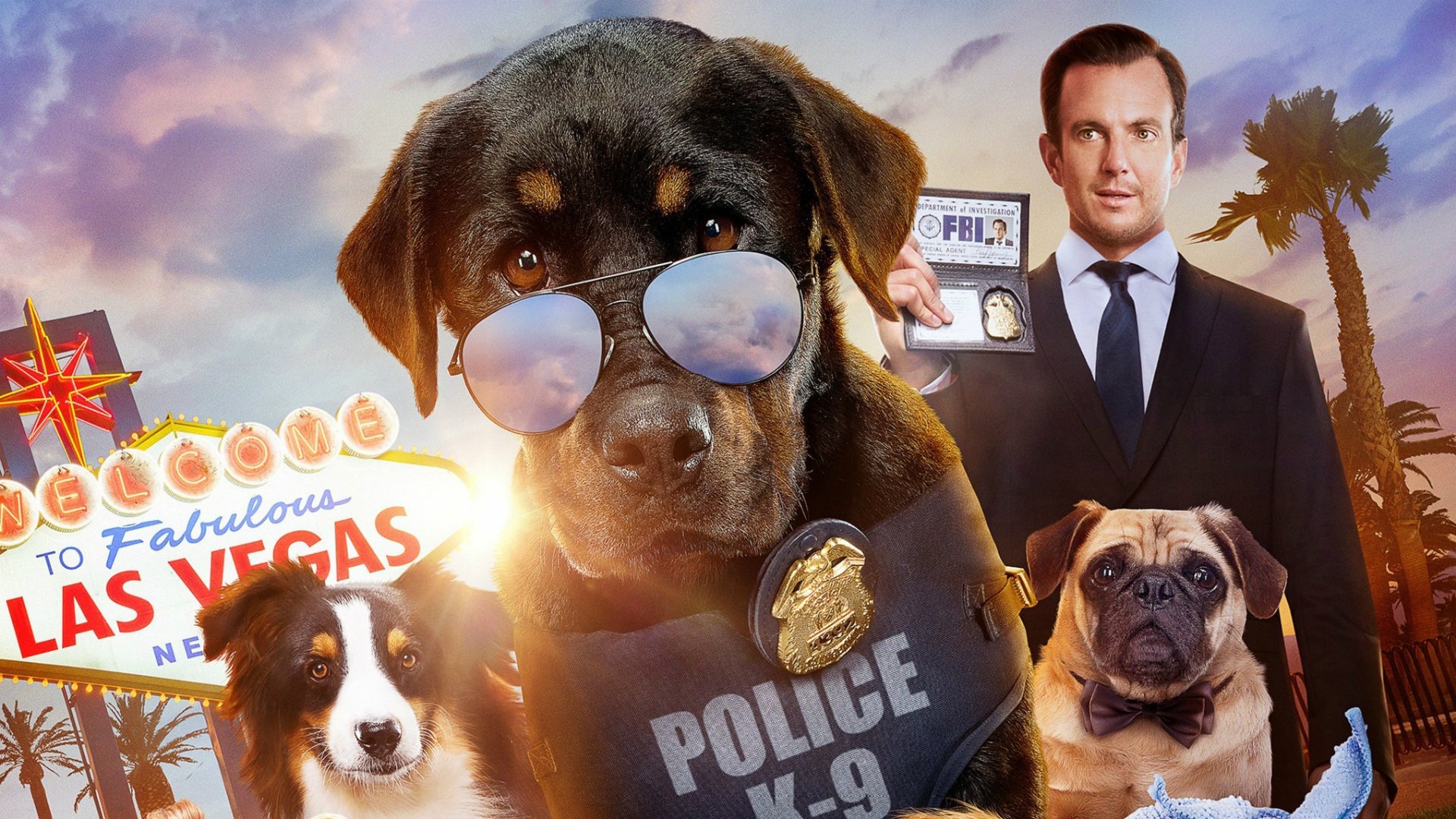Show Dogs Background