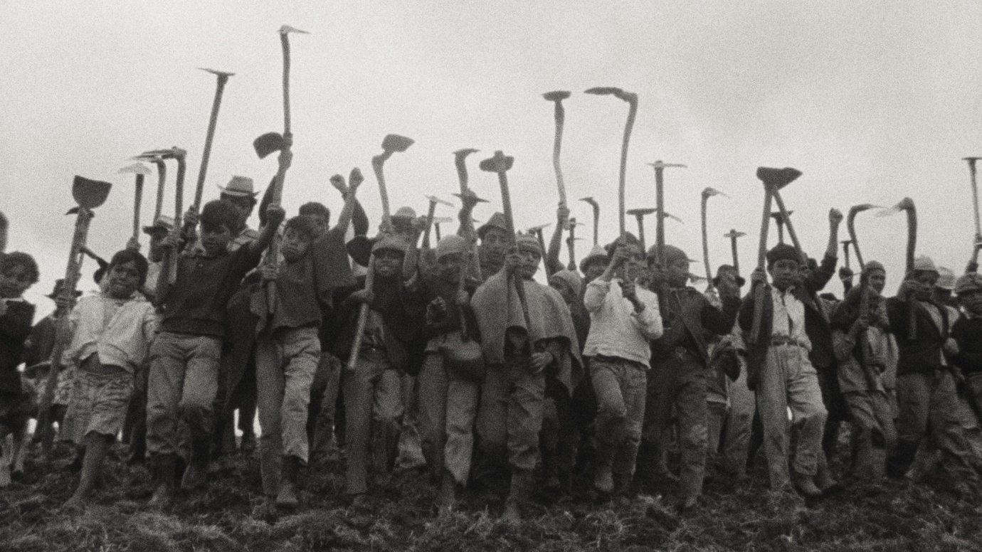 Nuestra voz de tierra, memoria y futuro Background