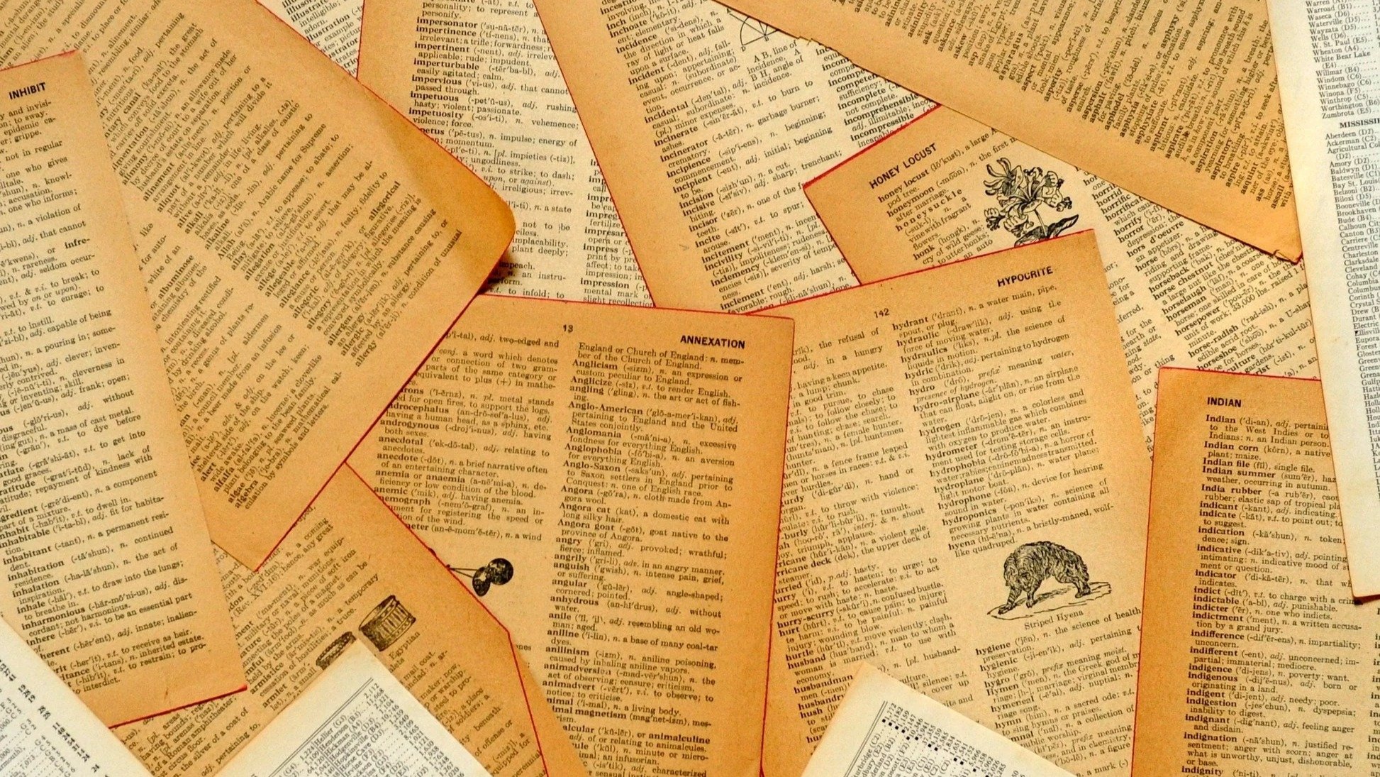 Six Centuries of Verse Background