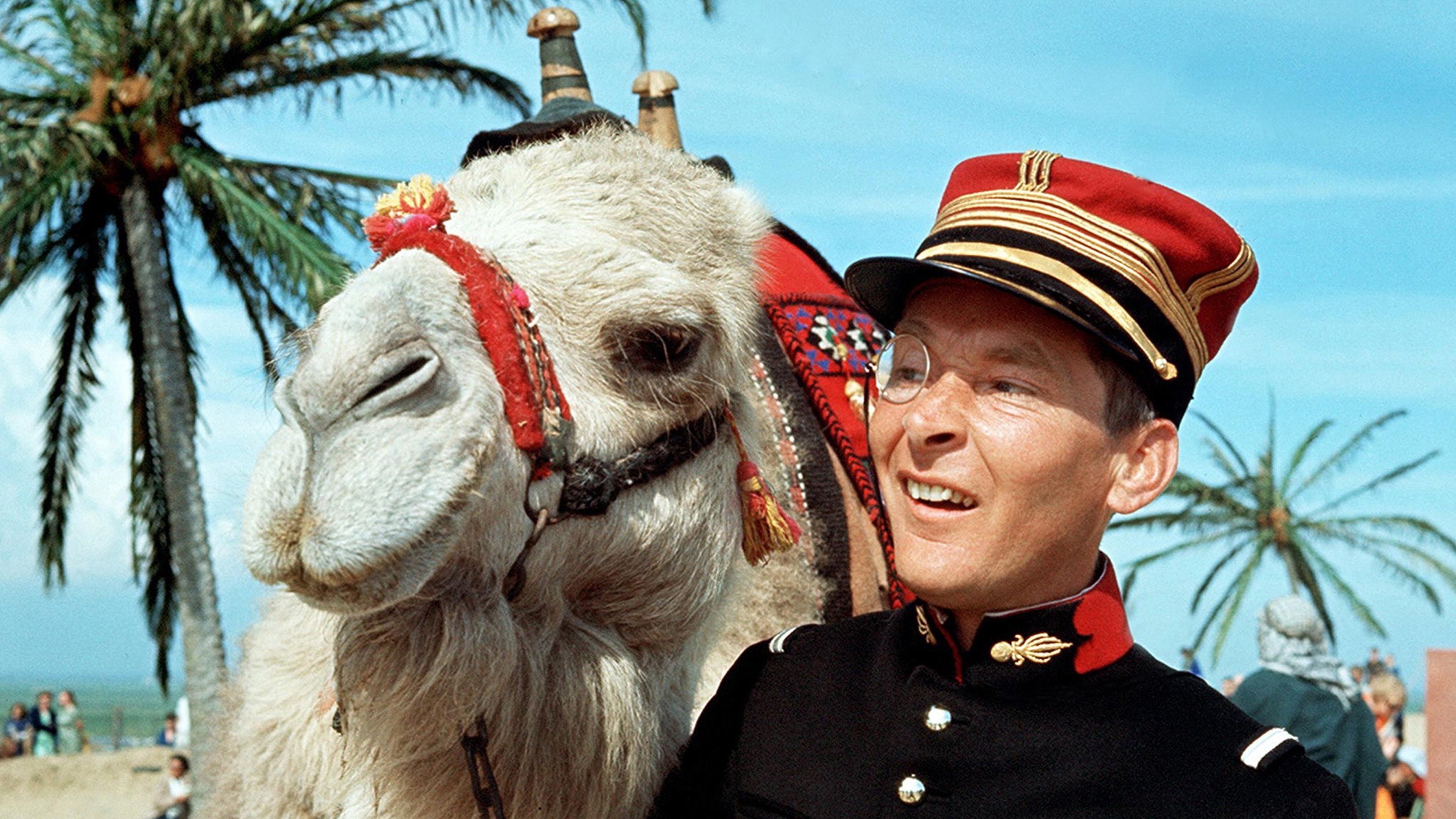 Carry On Follow That Camel Background