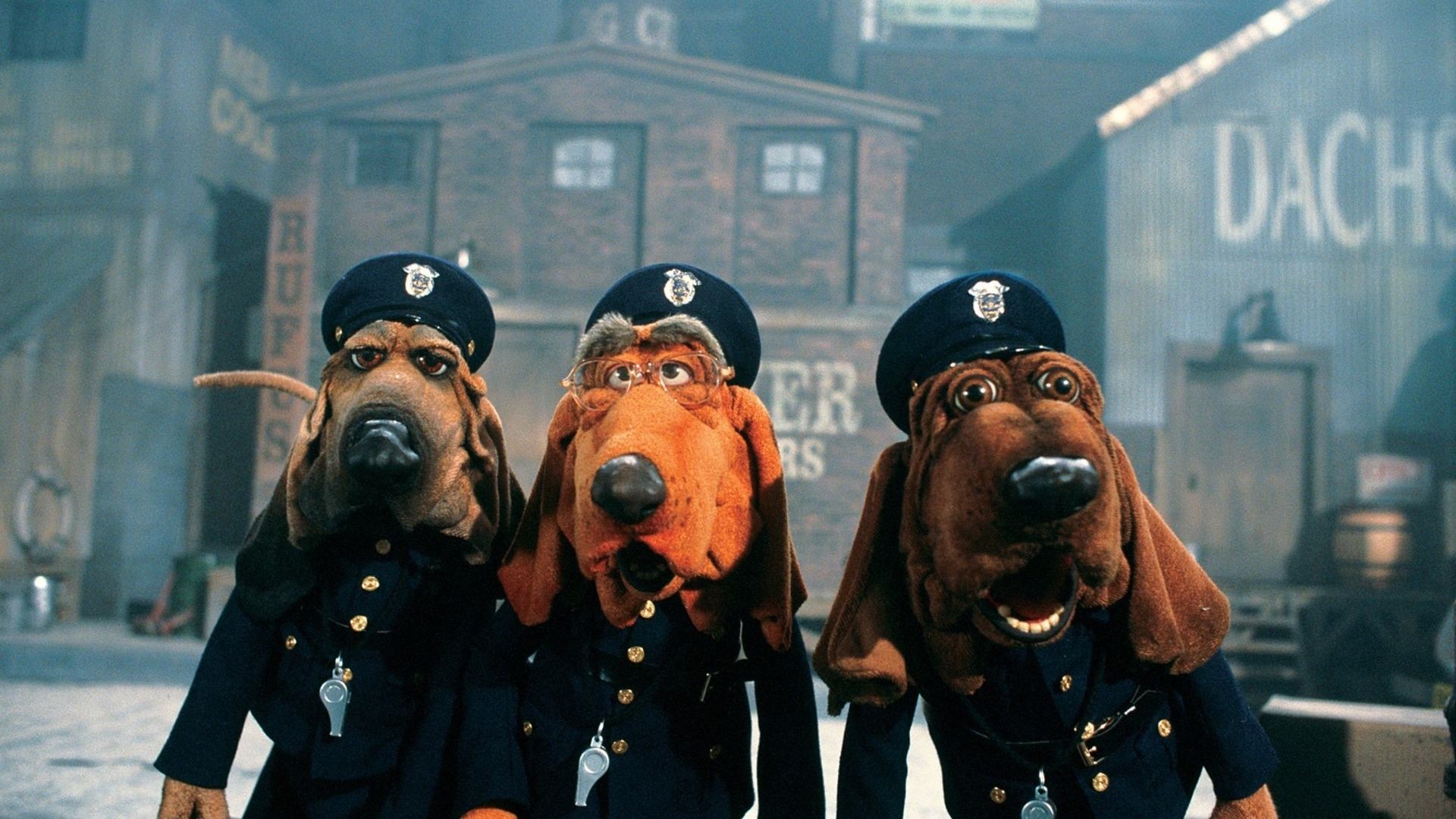 Dog City: The Movie Background
