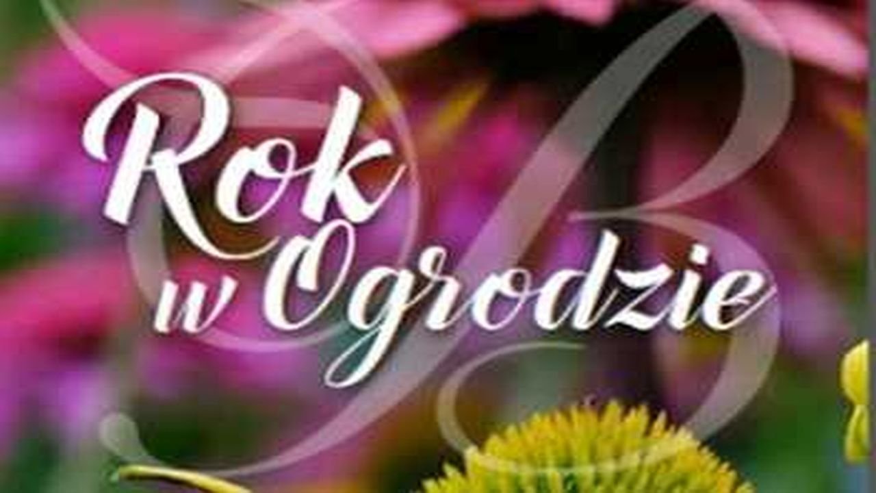 Rok w ogrodzie Background