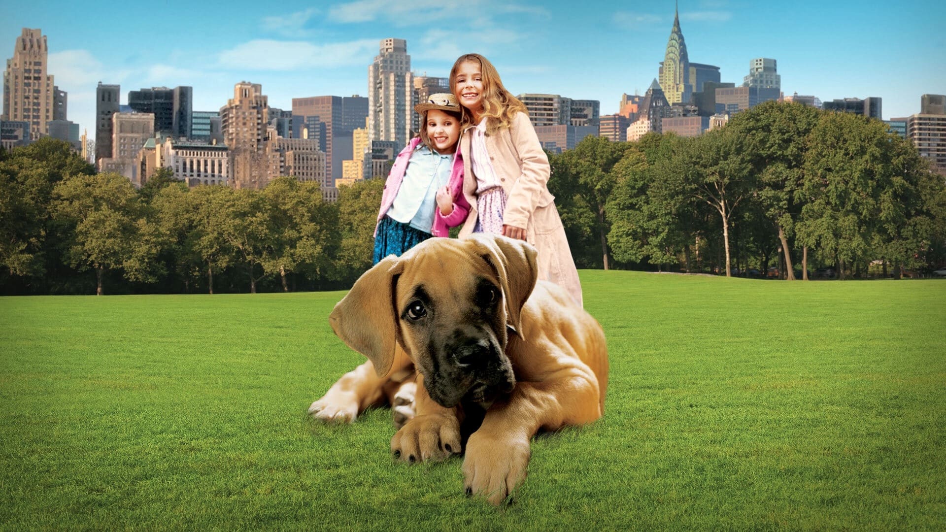 Chestnut: Hero of Central Park Background