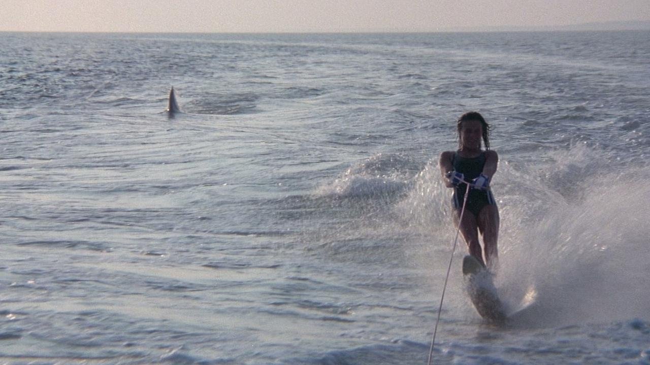 Jaws 2 Background